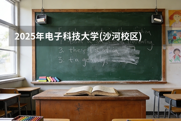2025年电子科技大学(沙河校区)在海南各专业都招多少人（2026参考）