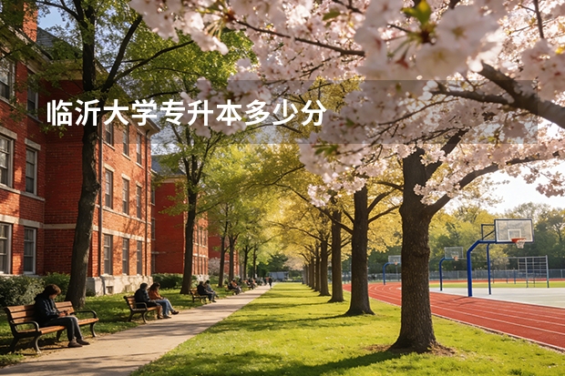 临沂大学专升本多少分