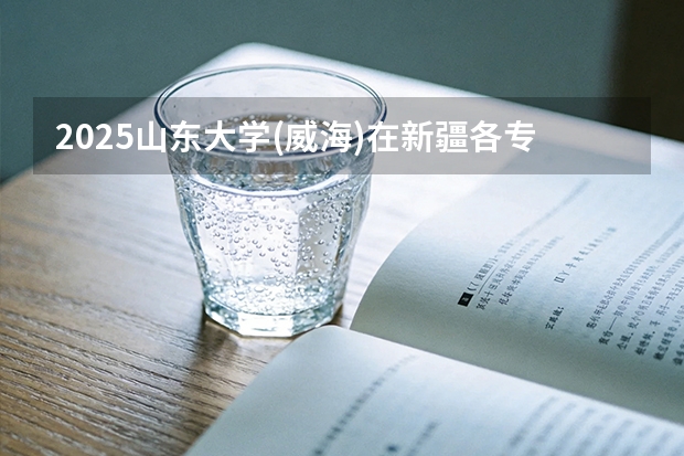 2025山东大学(威海)在新疆各专业都招多少人（2026参考）