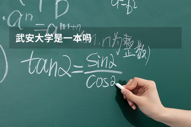 武安大学是一本吗