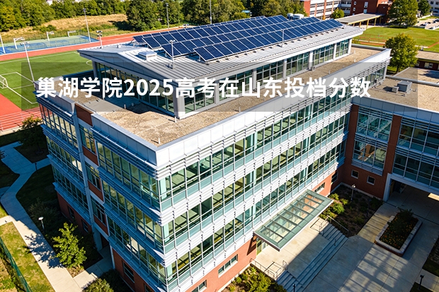 巢湖学院2025高考在山东投档分数线