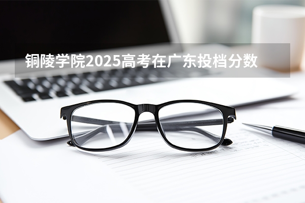 铜陵学院2025高考在广东投档分数线