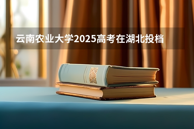 云南农业大学2025高考在湖北投档分数线
