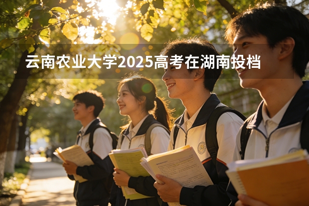 云南农业大学2025高考在湖南投档分数线