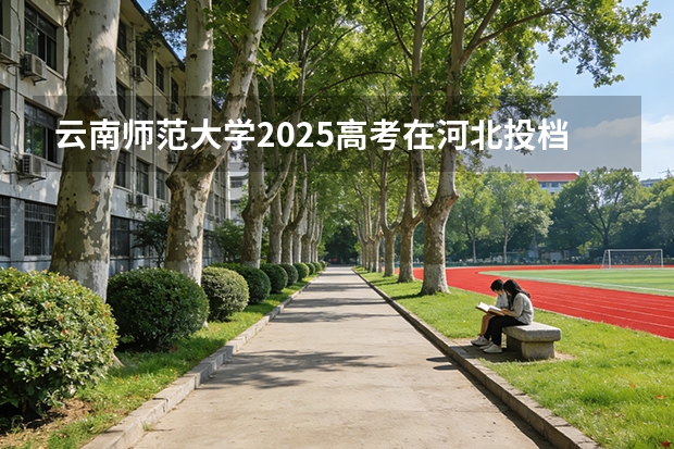 云南师范大学2025高考在河北投档分数线