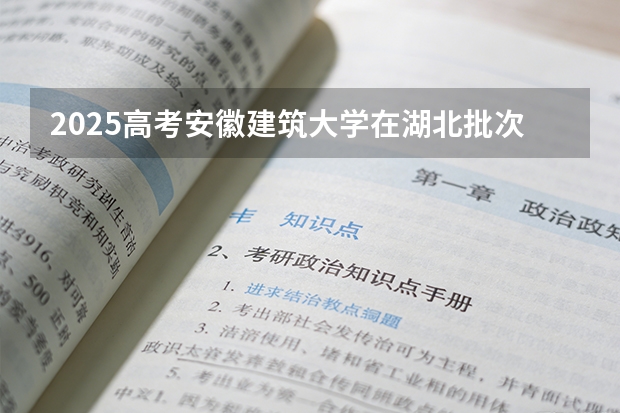 2025高考安徽建筑大学在湖北批次选科要求有哪些