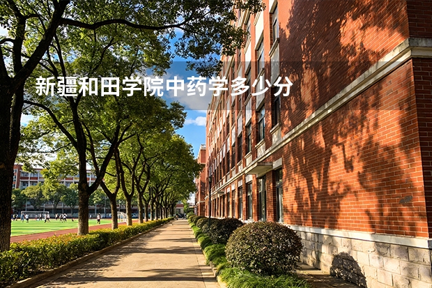 新疆和田学院中药学多少分