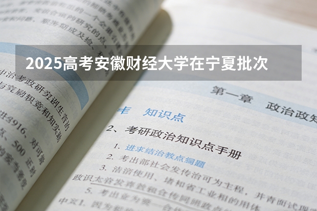 2025高考安徽财经大学在宁夏批次选科要求有哪些