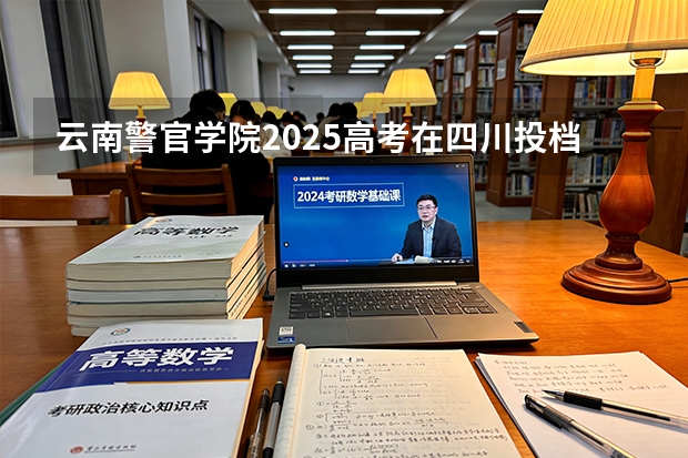 云南警官学院2025高考在四川投档分数线