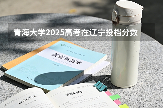 青海大学2025高考在辽宁投档分数线