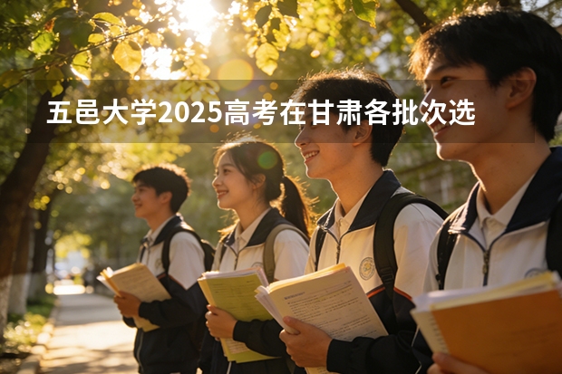五邑大学2025高考在甘肃各批次选科要求如何