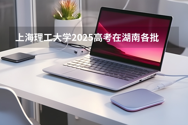 上海理工大学2025高考在湖南各批次选科要求如何