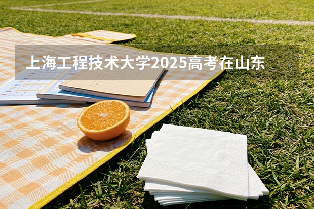 上海工程技术大学2025高考在山东各批次选科要求如何