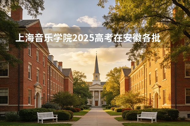上海音乐学院2025高考在安徽各批次选科要求如何