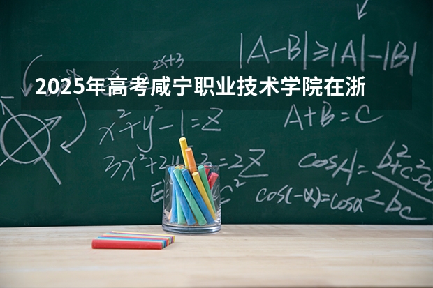2025年高考咸宁职业技术学院在浙江艺术类投档分数线总汇