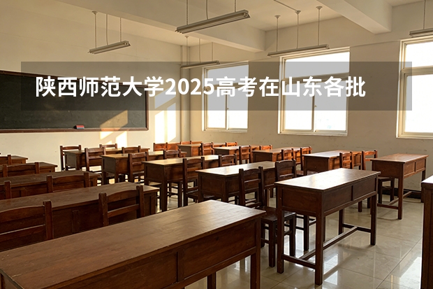 陕西师范大学2025高考在山东各批次选科要求如何