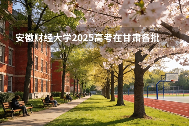 安徽财经大学2025高考在甘肃各批次选科要求如何