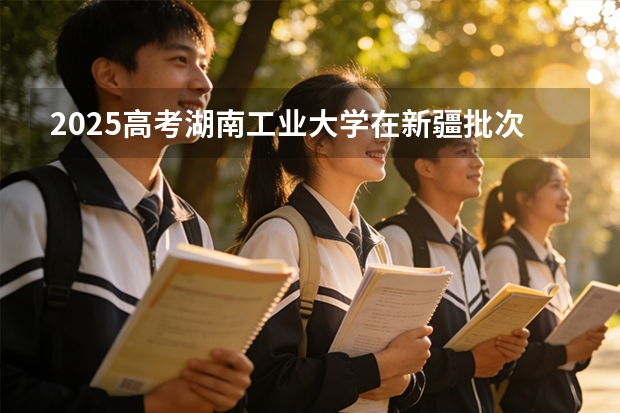 2025高考湖南工业大学在新疆批次选科要求有哪些