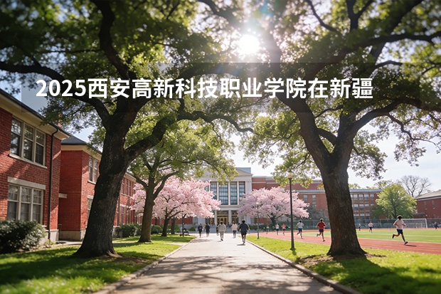 2025西安高新科技职业学院在新疆各专业都招多少人（2026参考）