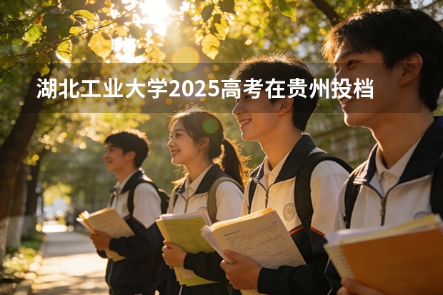 湖北工业大学2025高考在贵州投档分数线