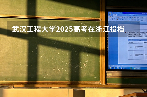 武汉工程大学2025高考在浙江投档分数线