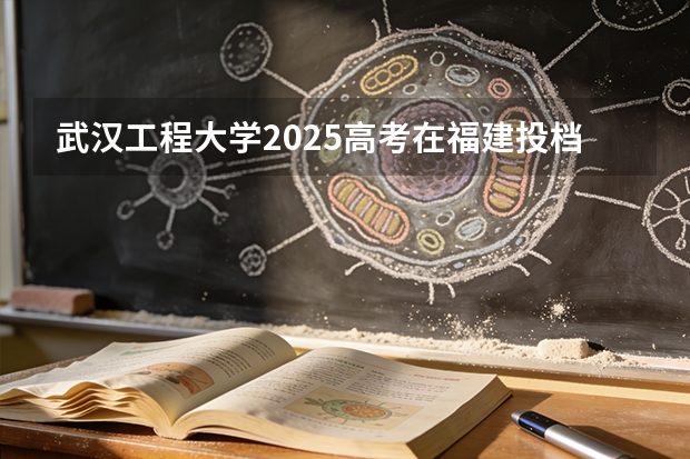 武汉工程大学2025高考在福建投档分数线