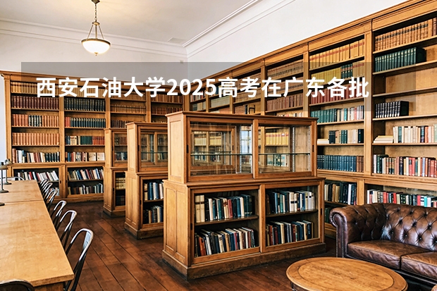 西安石油大学2025高考在广东各批次选科要求如何