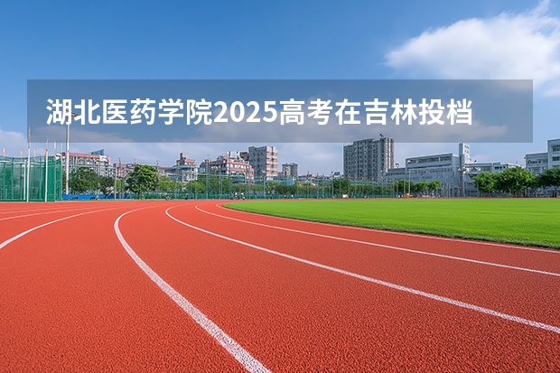 湖北医药学院2025高考在吉林投档分数线