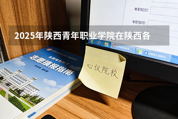 2025年陕西青年职业学院在陕西各专业都招多少人（2026参考）