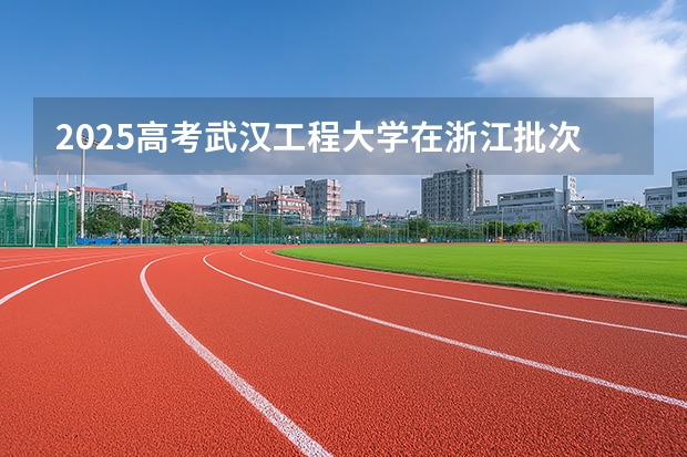 2025高考武汉工程大学在浙江批次选科要求有哪些