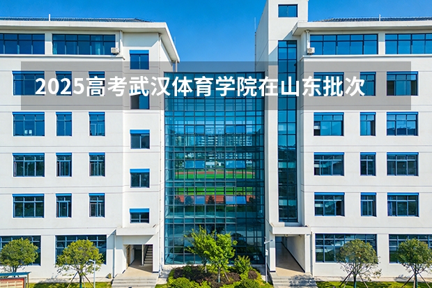 2025高考武汉体育学院在山东批次选科要求有哪些