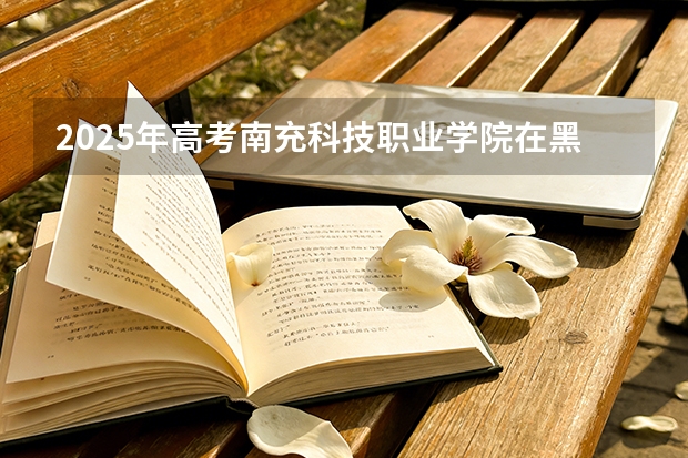 2025年高考南充科技职业学院在黑龙江艺术类投档分数线总汇