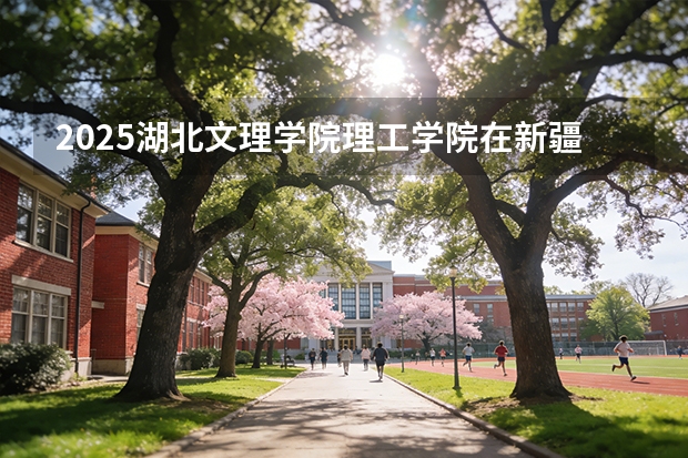 2025湖北文理学院理工学院在新疆各专业都招多少人（2026参考）