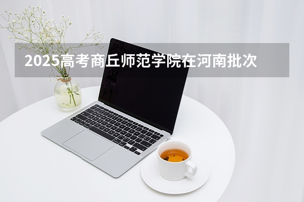 2025高考商丘师范学院在河南批次选科要求有哪些