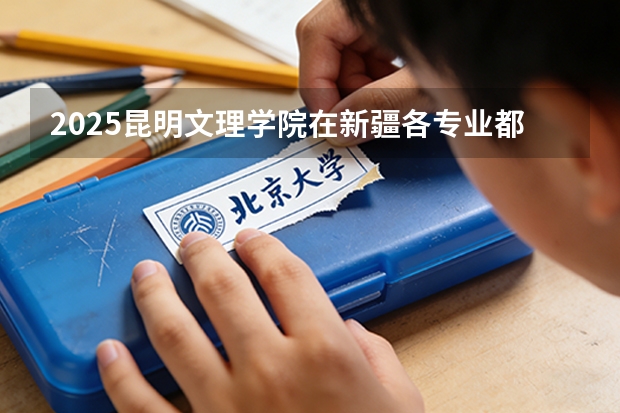 2025昆明文理学院在新疆各专业都招多少人（2026参考）