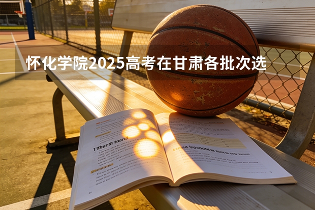 怀化学院2025高考在甘肃各批次选科要求如何