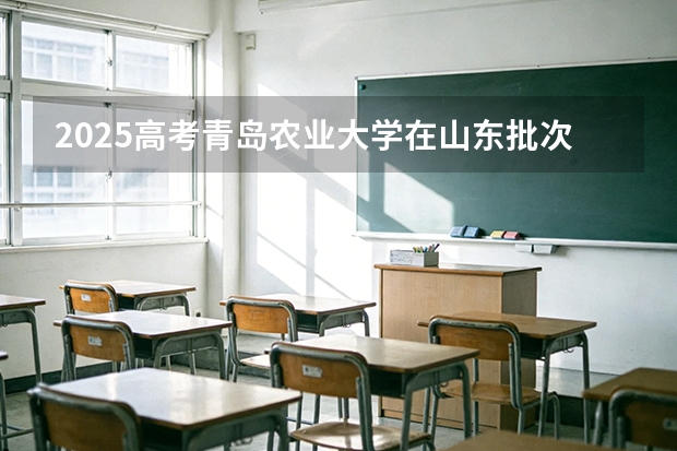 2025高考青岛农业大学在山东批次选科要求有哪些