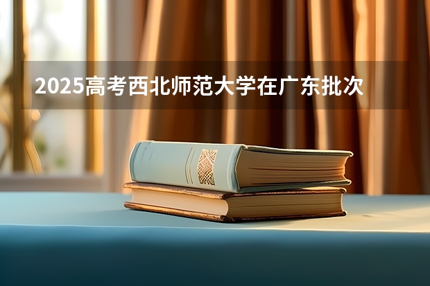 2025高考西北师范大学在广东批次选科要求有哪些