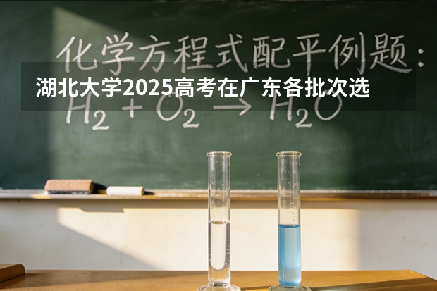 湖北大学2025高考在广东各批次选科要求如何