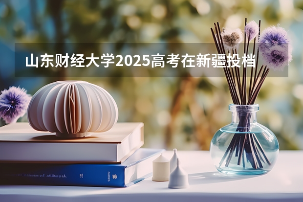 山东财经大学2025高考在新疆投档分数线