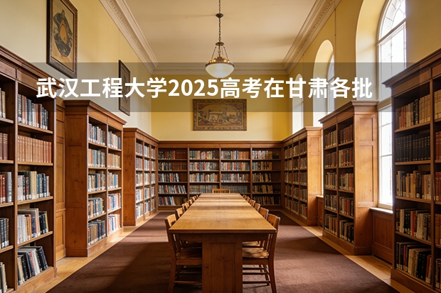 武汉工程大学2025高考在甘肃各批次选科要求如何