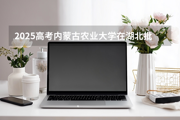 2025高考内蒙古农业大学在湖北批次选科要求有哪些