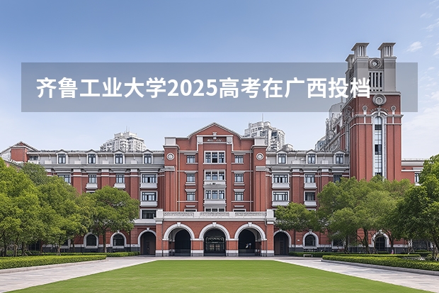 齐鲁工业大学2025高考在广西投档分数线