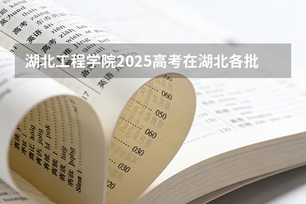 湖北工程学院2025高考在湖北各批次选科要求如何