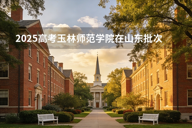 2025高考玉林师范学院在山东批次选科要求有哪些