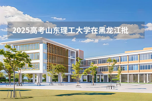 2025高考山东理工大学在黑龙江批次选科要求有哪些