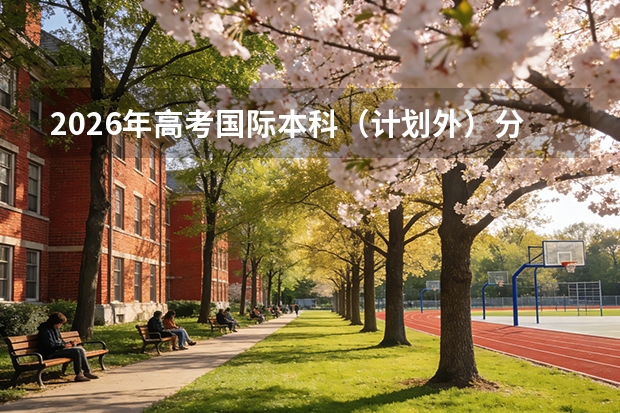 2026年高考国际本科（计划外）分数线及择校指南