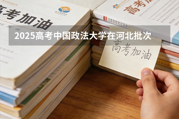 2025高考中国政法大学在河北批次选科要求有哪些