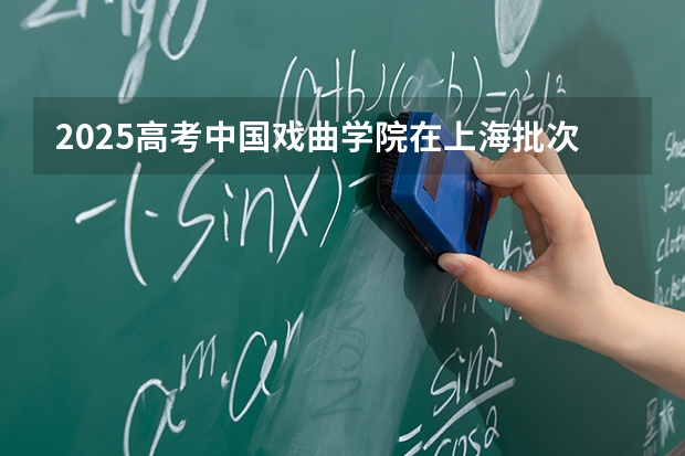 2025高考中国戏曲学院在上海批次选科要求有哪些