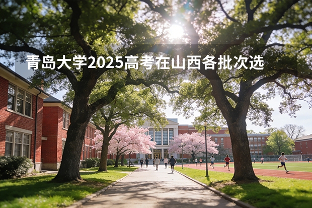 青岛大学2025高考在山西各批次选科要求如何
